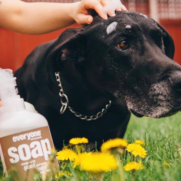 review photo of Everyone for Every Body 3 in 1 coconut + lemon shared by @alexlepine on 18 Dec 2020 - review