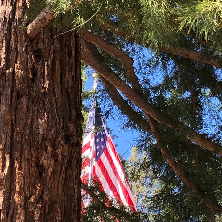 photo of Idyllwild Ice Cream & Jerky Caramel Peanut Dairy Free Nice Cream shared by @vfree on  21 May 2020 - review