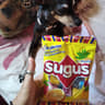 Sugus