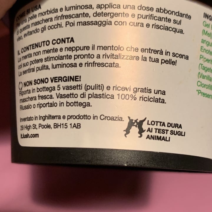 review photo of LUSH Fresh Handmade Cosmetics Mask of Magnaminty shared by @carlottaaa on 13 Mar 2022 - review