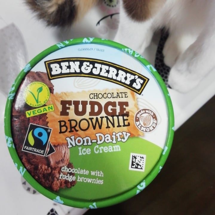 photo of Ben & Jerry's Chocolate Fudge Brownie Non-Dairy Ice Cream shared by @anathedoglady on  05 Feb 2021 - review