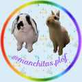 @druma1392 profile image