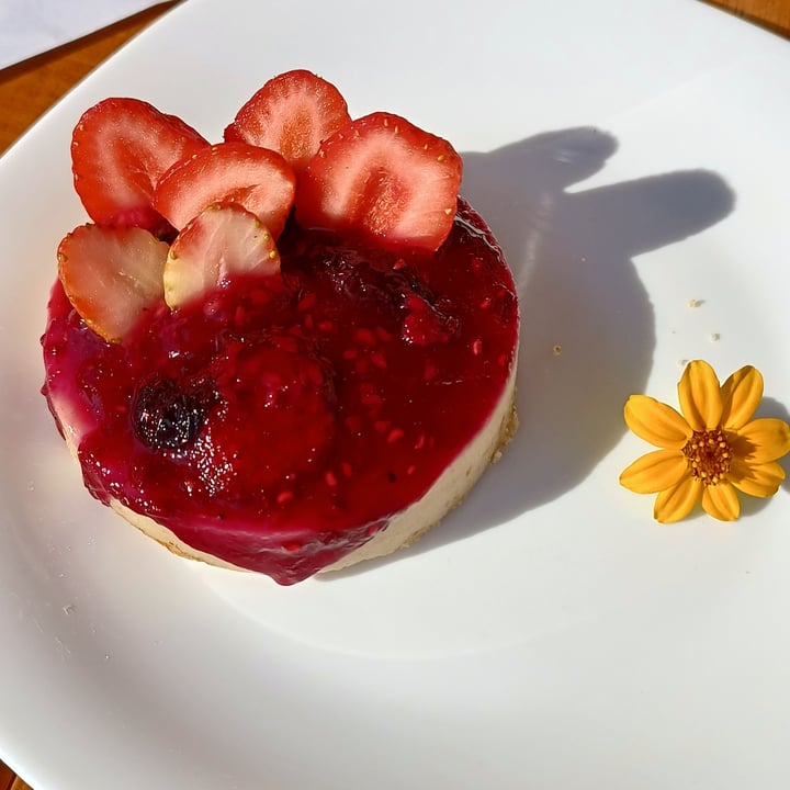 photo of Divina Terra Holambra Torta de frutas vermelhas shared by @lucasprimon on  07 May 2022 - review
