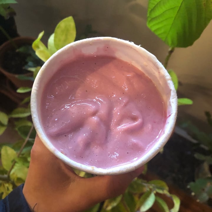 photo of Daily Harvest Dragon Fruit + Lychee Smoothie shared by @garen7 on  03 Nov 2021 - review