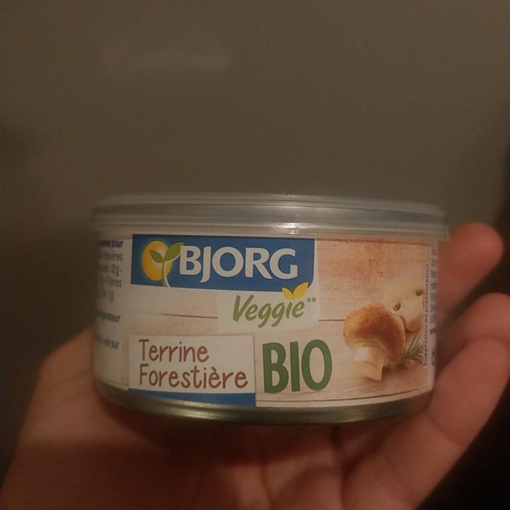 photo of Bjorg Terrine Forestière shared by @chiaraclaire on  26 Mar 2022 - review
