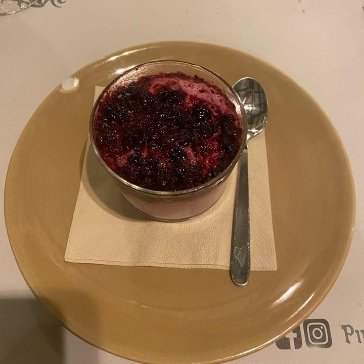 review photo of Pirati DeLuxe Yogurt E Salsa Ai Frutti Di Bosco shared by @erialaimo on 12 Apr 2022 - review