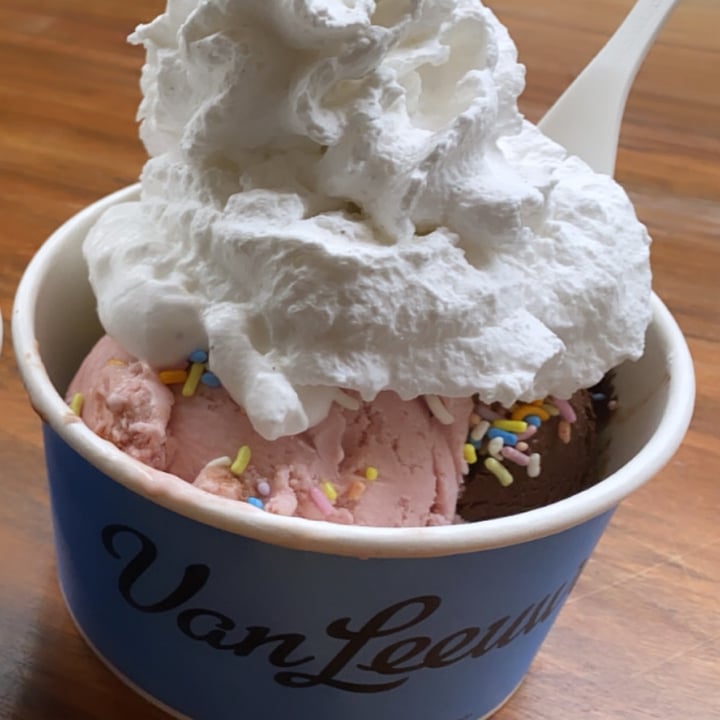 photo of Van Leeuwen Ice Cream Strawberry And Chocolate Ice Cream With Rainbow Sprinkles shared by @thatveganchick on  09 Feb 2021 - review