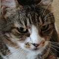 babajaga @babajaga profile image