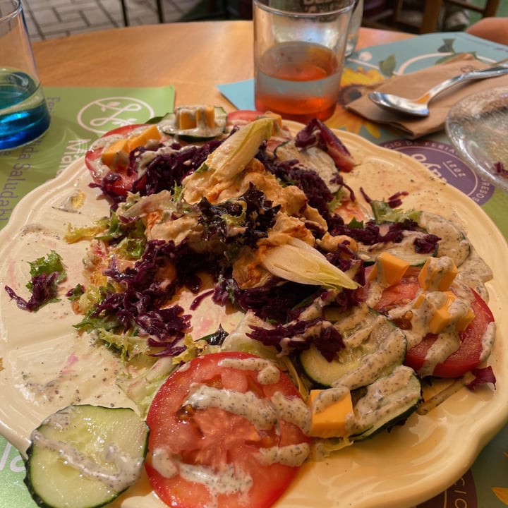 photo of Himalaya Salón, Vegan Greek Salad With Hummus shared by @andaluzo on  02 Sep 2021 - review