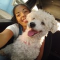 agustinasofi @agustinasofi profile image