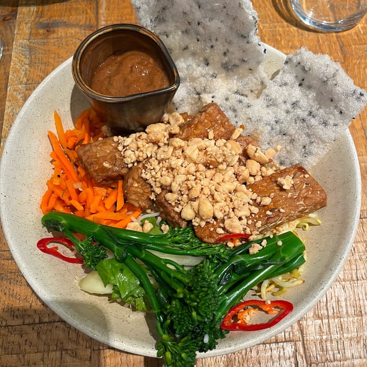 photo of mallow kecap manis tempeh gado gado shared by @jessskh on  28 Oct 2022 - review