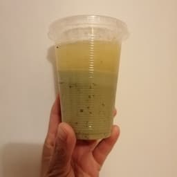 Mucho más que solo lechuga