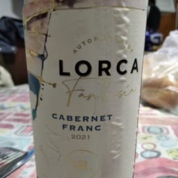 Mauricio Lorca