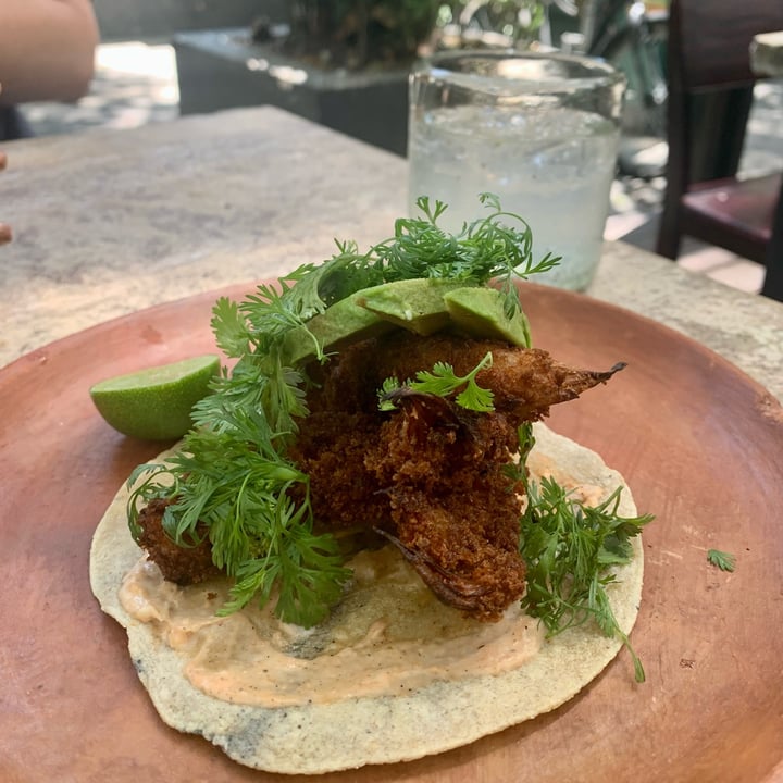 photo of Los Loosers Fish Taco shared by @nancy on  26 May 2022 - review