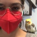 mariannambarbosa @mariannambarbosa profile image
