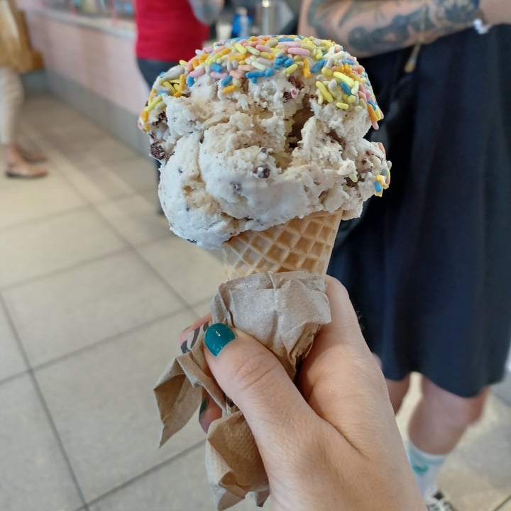 photo of Van Leeuwen Ice Cream Chocolate chip Cookie Dough Ice Cream shared by @tipsyballoons on  22 Aug 2022 - review