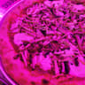 I Love The Dough