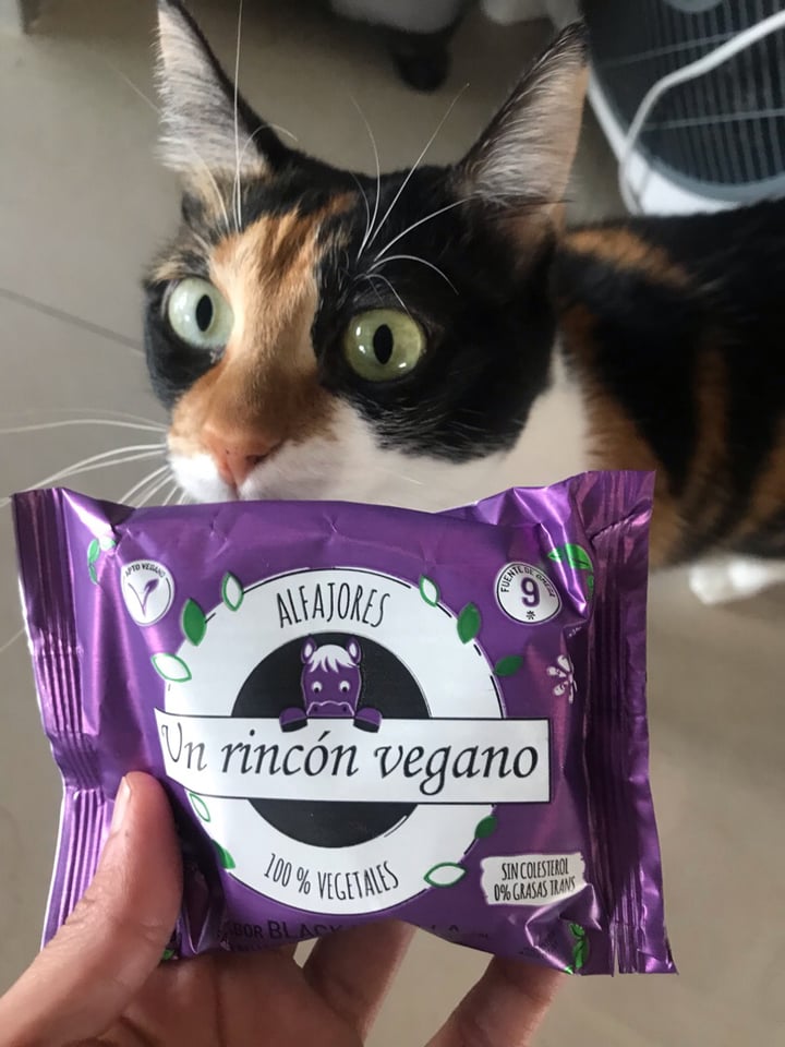 photo of Un Rincón Vegano Alfajor Black Vainilla shared by @marian001 on  31 Aug 2019 - review