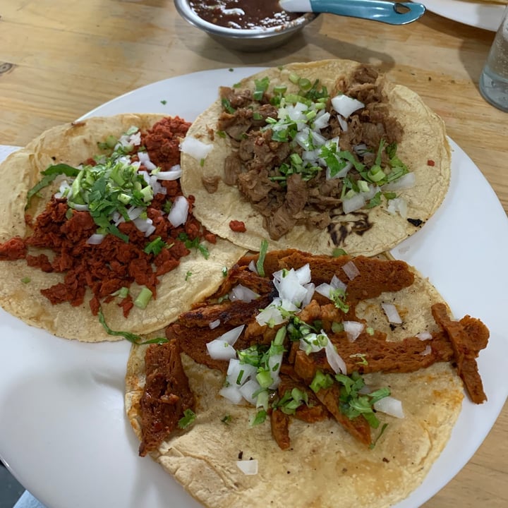 photo of Vegetal Roma Tacos shared by @nancy on  30 Jun 2021 - review