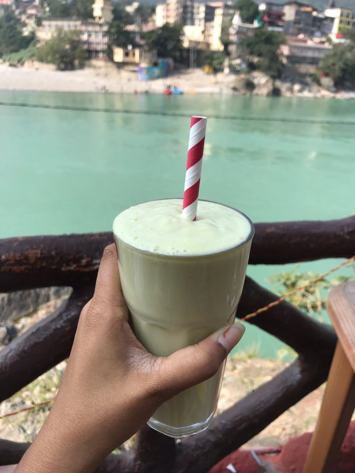 photo of OM Freedom Cafe Avocado Shake shared by @plantmylksucker on  09 Dec 2019 - review