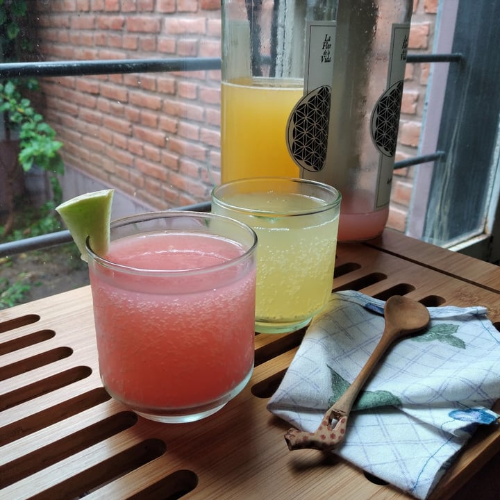 photo of La flor de la vida Kefir de agua shared by @veganamica on  16 Apr 2021 - review