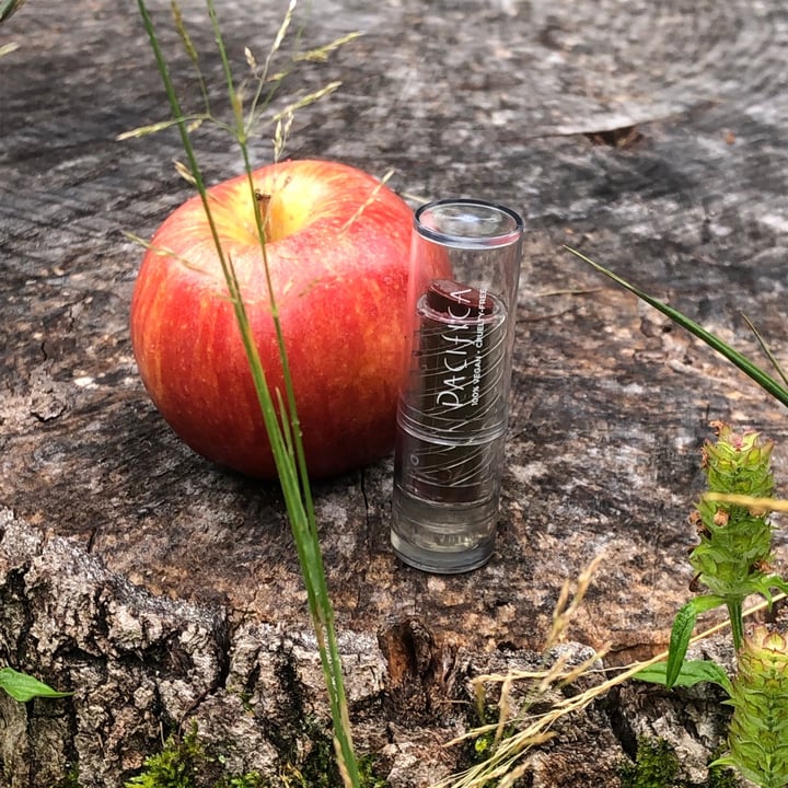 photo of Pacifica Crimson Crush Lipstick shared by @helpallanimals5238 on  01 Jul 2021 - review