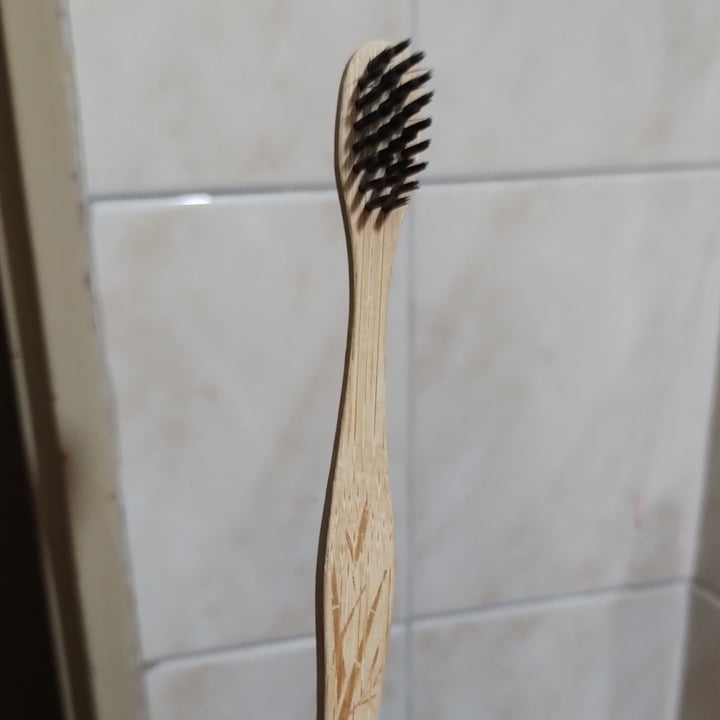 review photo of Colgate Toothbrushes shared by @moarlust on 06 Dec 2022 - review