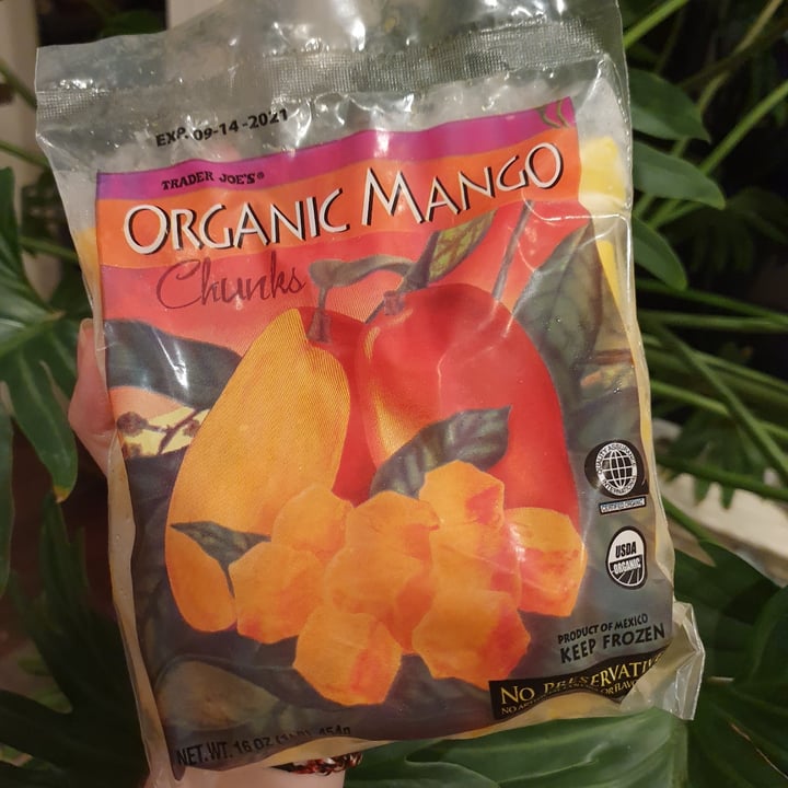 photo of Trader Joe's Organic mango chunks shared by @anistavrou on  27 Oct 2020 - review