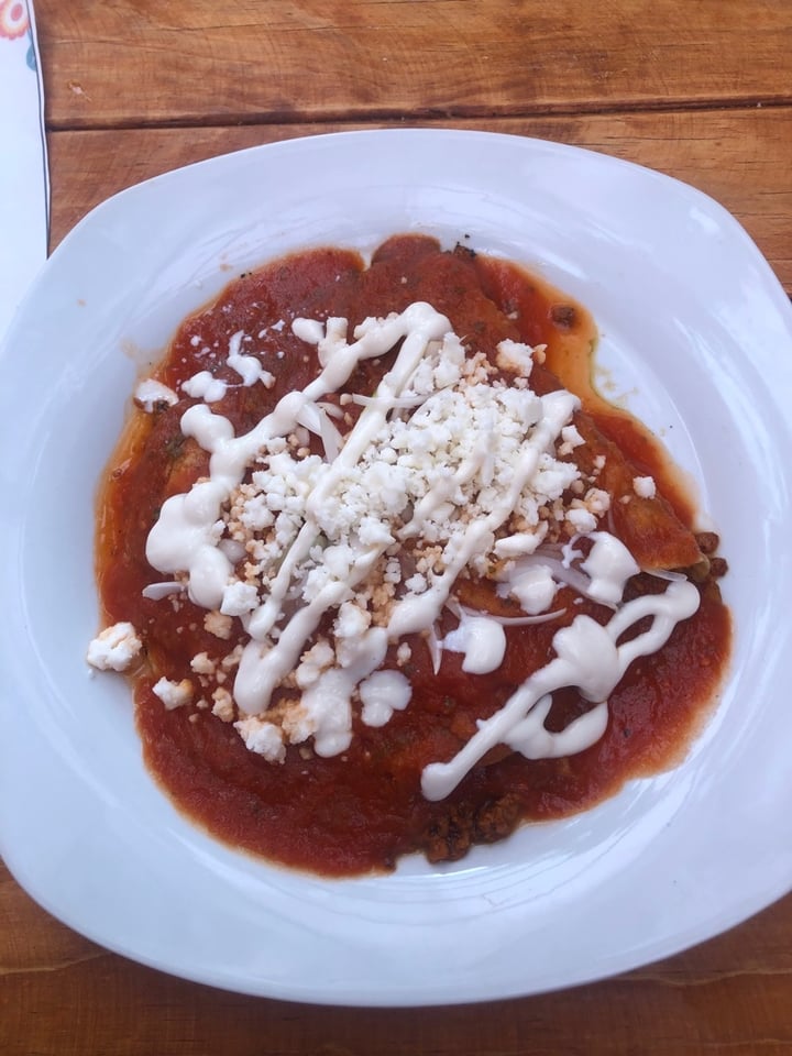 photo of El Jardín De Alicia Enchiladas rojas de pastor shared by @alyy on  02 Feb 2020 - review