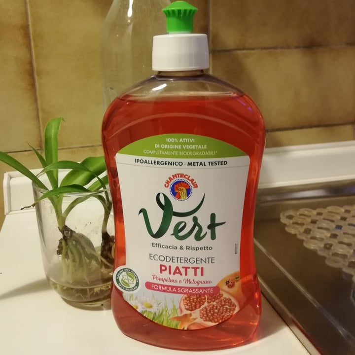 photo of Vert di Chanteclair Detergente piatti shared by @abigen on  09 Dec 2022 - review