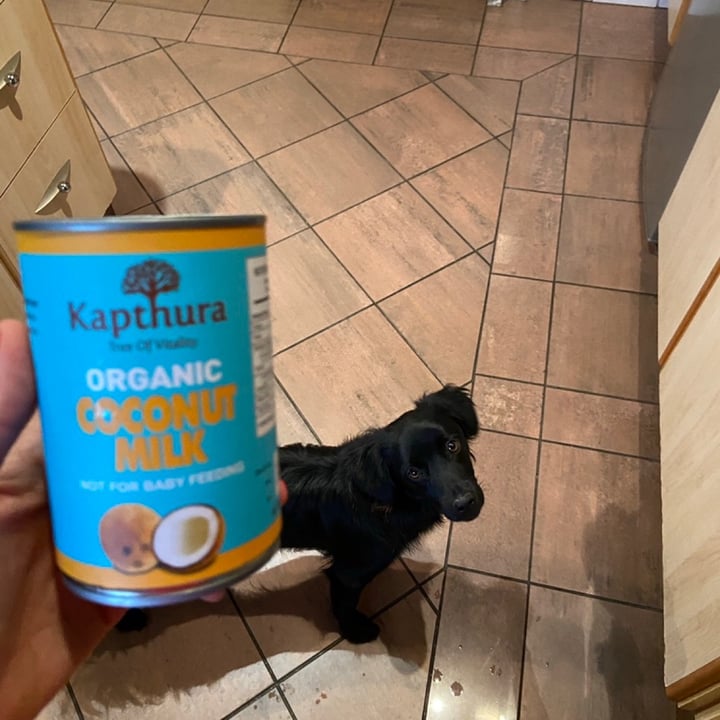 photo of Kapthura Organic Coconut Milk shared by @leighclare29 on  19 Jan 2021 - review