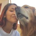 @valeriacoello profile image