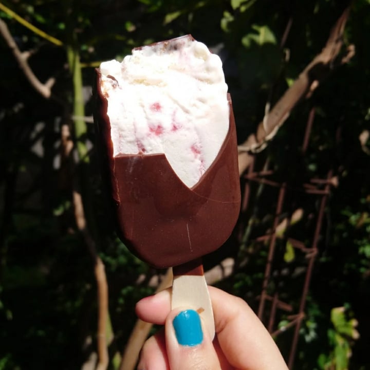 photo of NotCo Not Icecream Cremoso de Frambuesa shared by @catamartins on  10 Oct 2021 - review