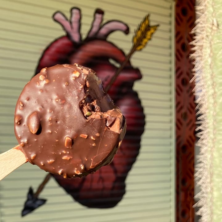 photo of Daiya Chocolate Fudge Crunch Coconut non-dairy Frozen Dessert shared by @alleycatz on  15 Feb 2021 - review