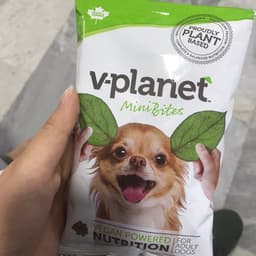 v-planet