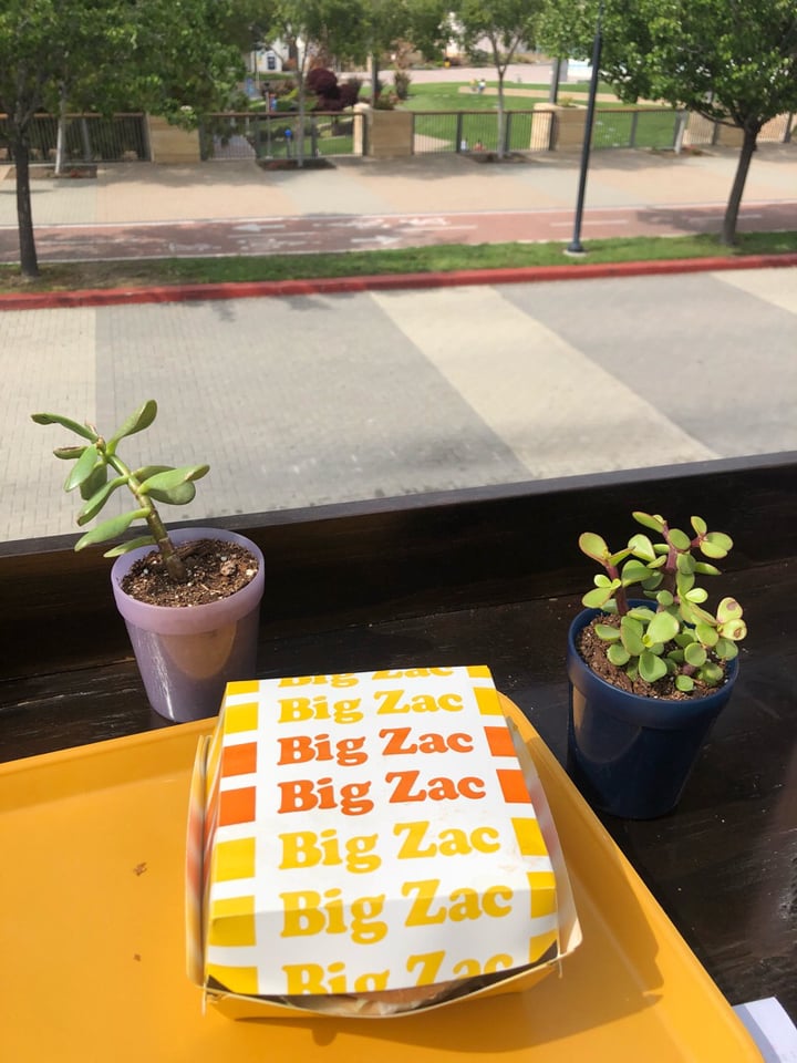 photo of Plant Power Fast Food Big Zac Burger shared by @sarahkarver on  15 May 2019 - review
