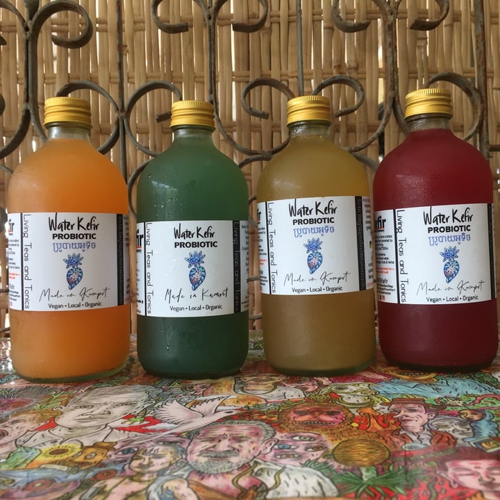 review photo of GIVE Kefir Probiotic Brewery Water kefir shared by @vvremixes on 20 Jun 2021 - review