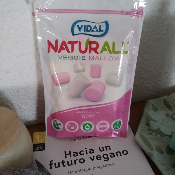 review photo of Vidal Veggie mallow shared by @javieranimalvegano on 12 Jul 2021 - review