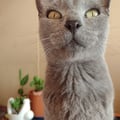 floracvm @floracvm profile image
