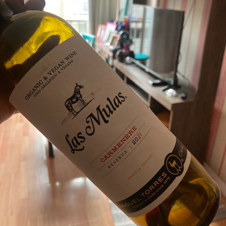 review photo of Las Mulas Vino Tinto Carmenere shared by @ximenamargarita on 09 Jul 2022 - review