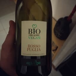 Guarini Nostre terre