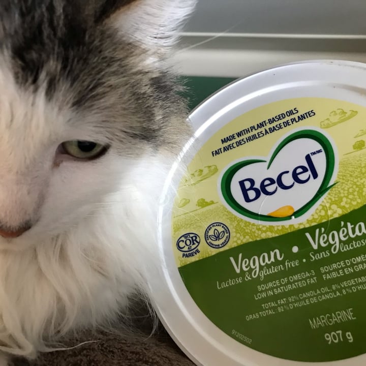 photo of Becel Becel Vegan shared by @maryanarch on  06 Feb 2022 - review
