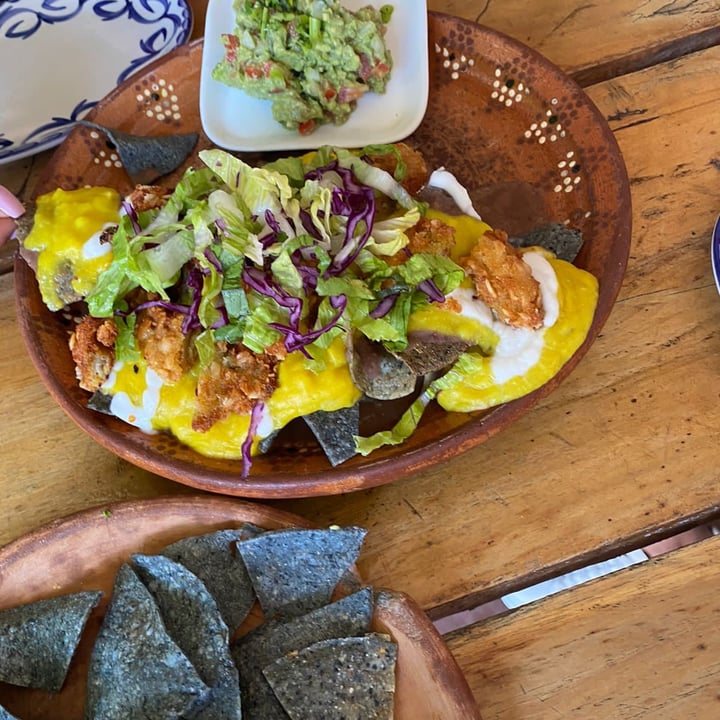 photo of Herbívoro Nachos shared by @karenaho1 on  03 Sep 2022 - review