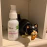InstaNatural