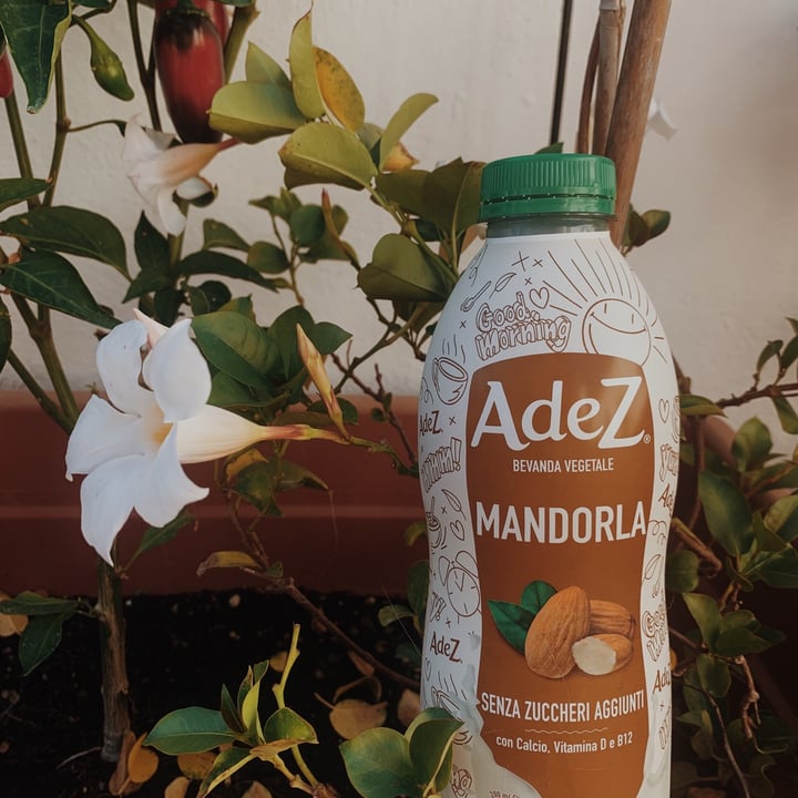 photo of AdeZ Latte Di Mandorla shared by @clarislide on  03 Sep 2020 - review