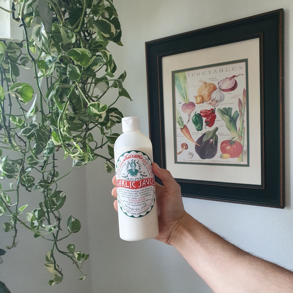 Karam's Cuisine du Liban Original Garlic Sauce Reviews abillion