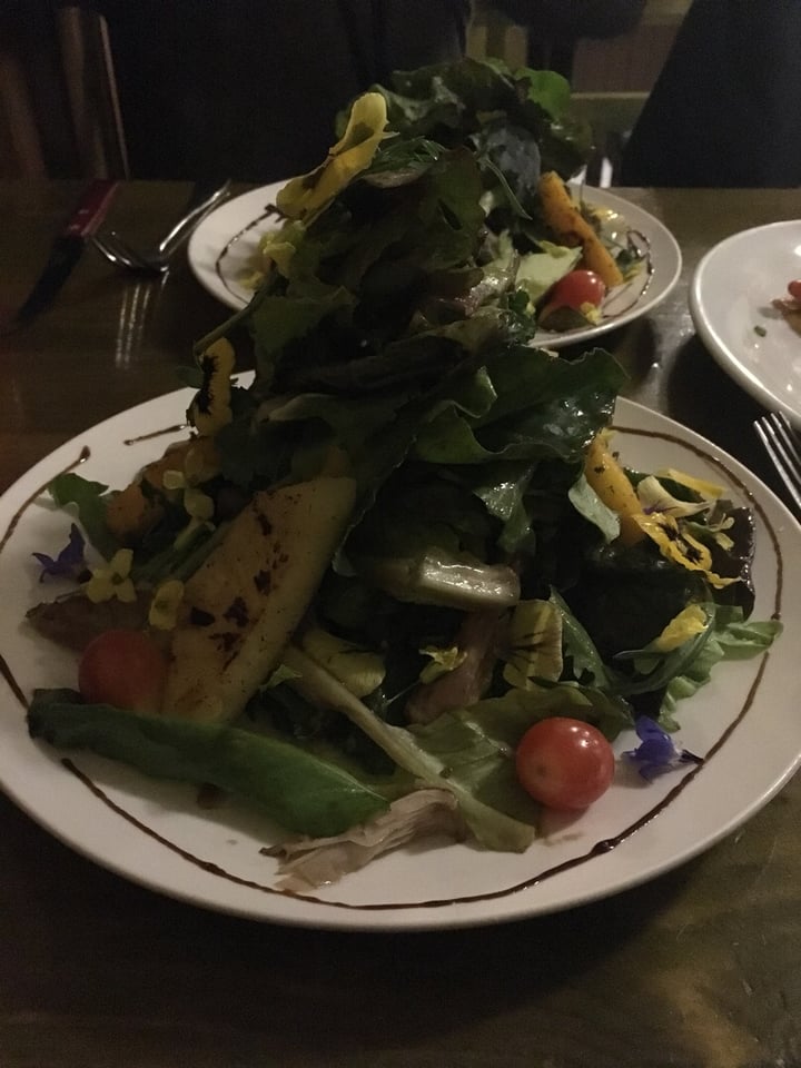 photo of Organika Organika Salad shared by @theveggienomad on  17 Aug 2018 - review
