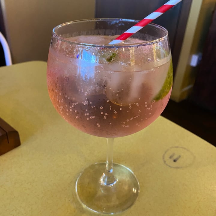 photo of The Sound Lounge Mr Fitz Aqua Spritz- Strawberry & Kiwi shared by @happyhippie269 on  19 Mar 2022 - review