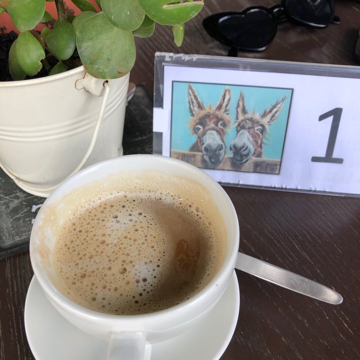 photo of Asher's Corner Cafe @ Ashers Farm Sanctuary Cappuccino With Cream shared by @fleshprison on  28 Mar 2021 - review