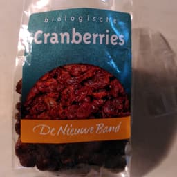 De Nieuwe Band